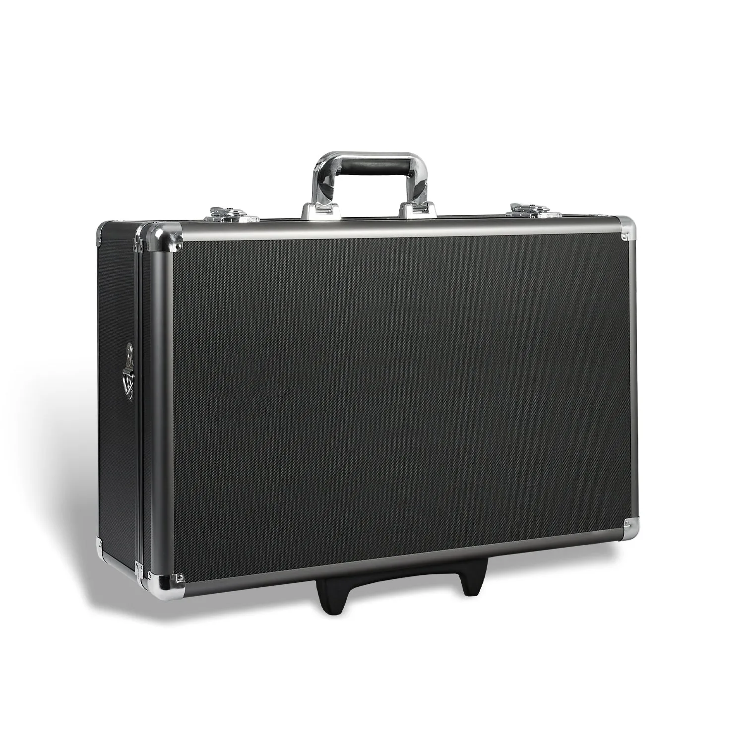 Deluxe Large Protective Storage Hard Case